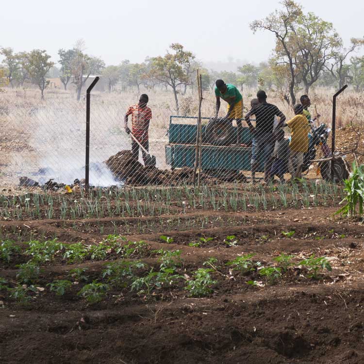 Local agricultural projects now fund a substantial portion of Espoir Jeuenes running costs