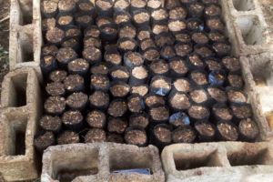 Preparing the next crop Preparing the next crop